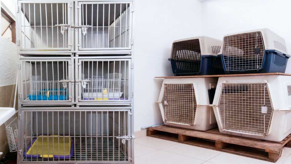 Instalaciones: Zona de descanso