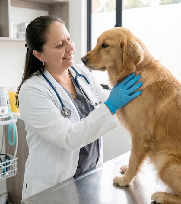 Equipo Dra. Tinjacá Móvil