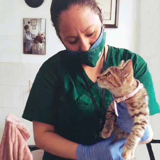 Dra. Mariaclaudia Tinjacá Galeano