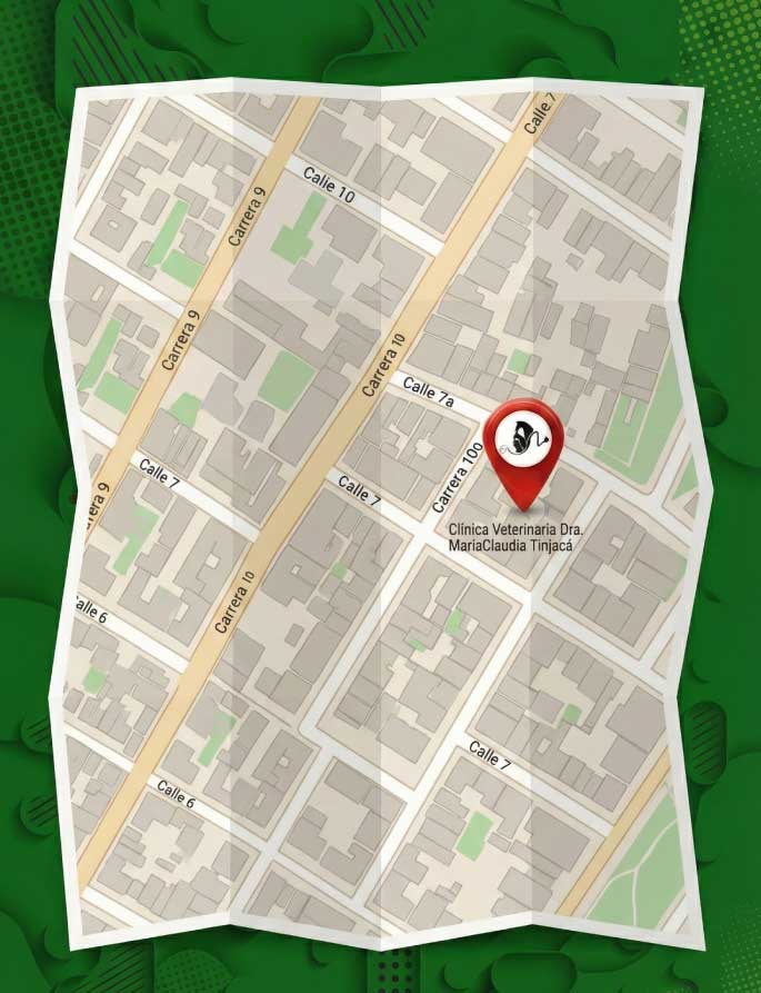 Equipo Dra. Tinjacá Móvil